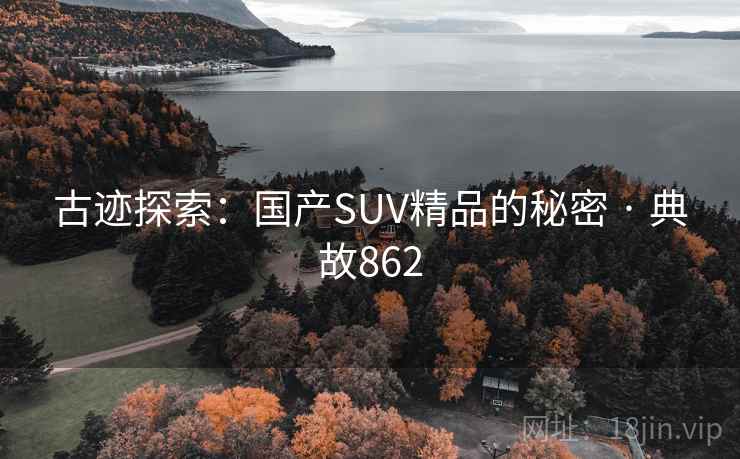古迹探索：国产SUV精品的秘密 · 典故862