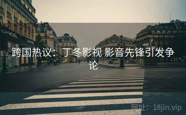 跨国热议：丁冬影视 影音先锋引发争论